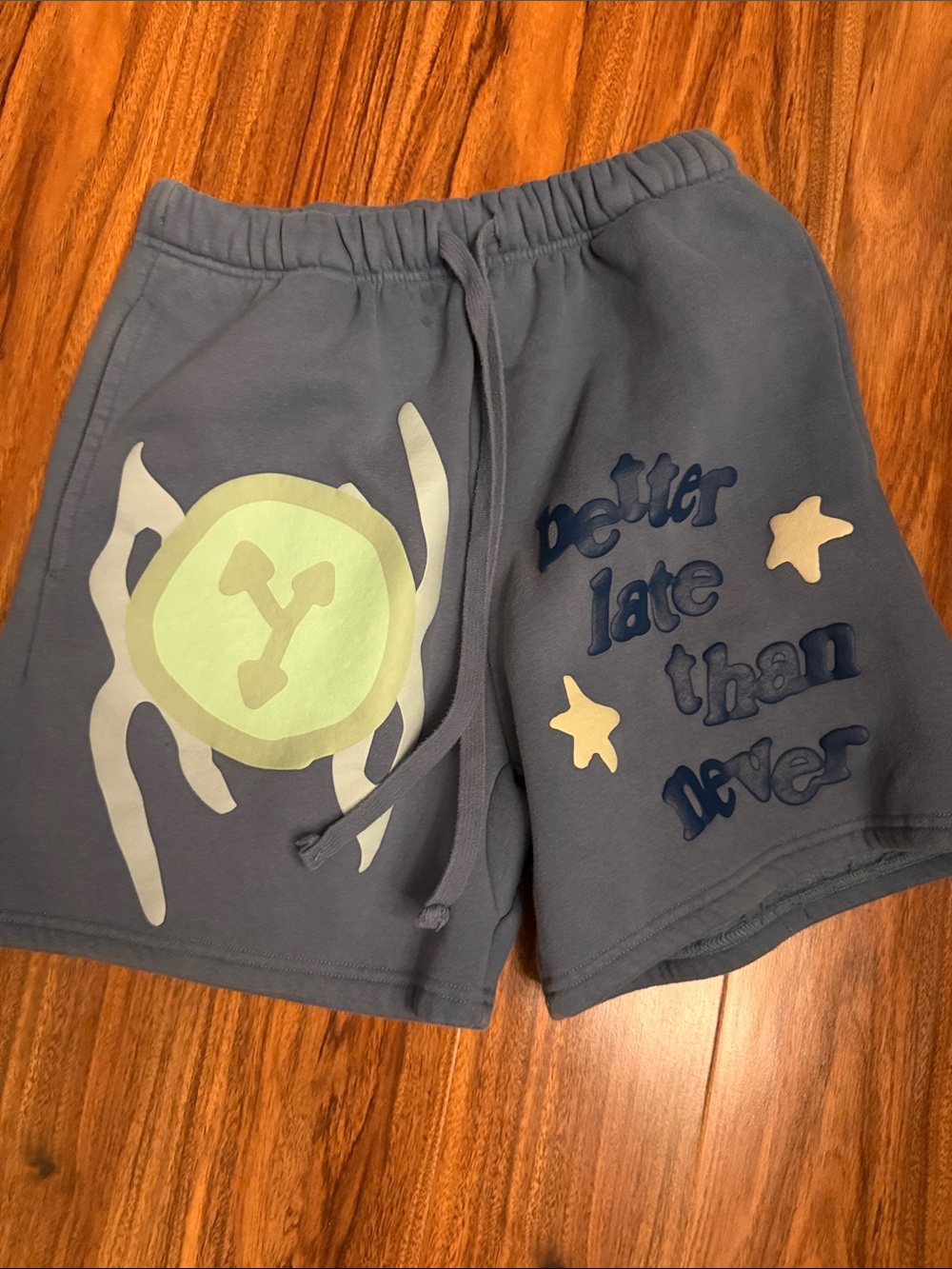 PacSun Blue Graphic Men’s Athletic Shorts with Light Green & Cream Accents
